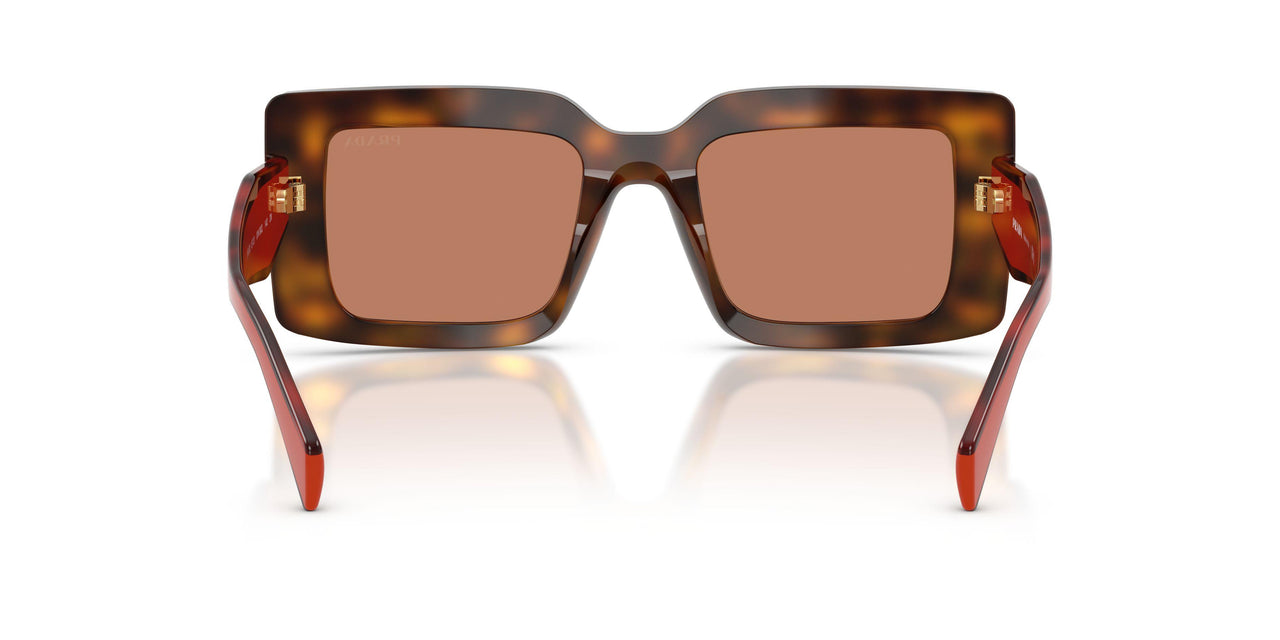 01K90Q - Tortoise - Brown