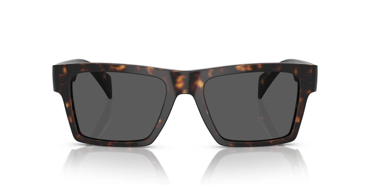 108/87 - Tortoise - Dark Grey