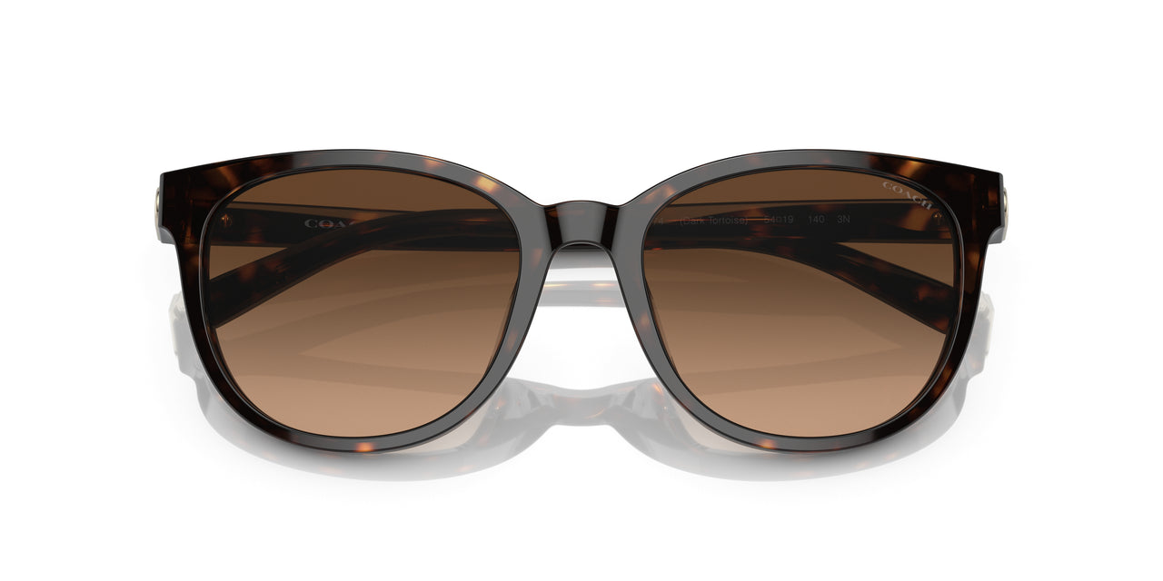 512074 - Havana - Brown Gradient