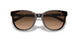 512074 - Havana - Brown Gradient
