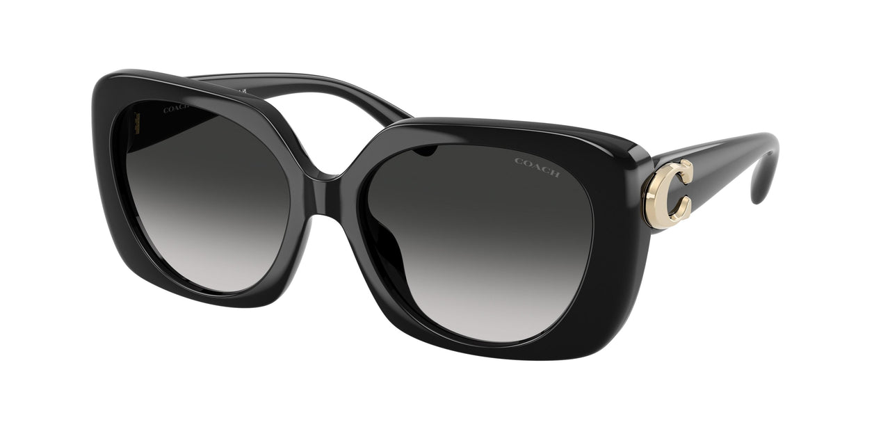 Coach Cad33 8422U Sunglasses