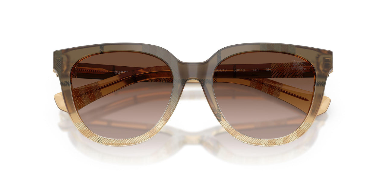 420113 - Brown - Brown Gradient