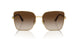 507813 - Brown - Gradient Brown