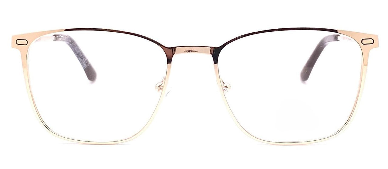 C2 - Gold Brown