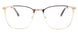 C2 - Gold Brown