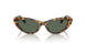 607871 - Tortoise - Dark Green