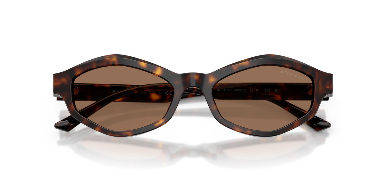 500273 - Tortoise - Dark Brown