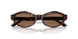 500273 - Tortoise - Dark Brown