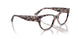 3150 - Tortoise