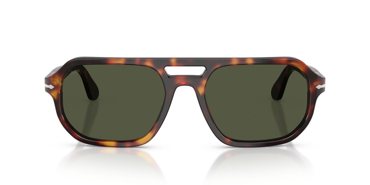 24/31 - Tortoise - Green