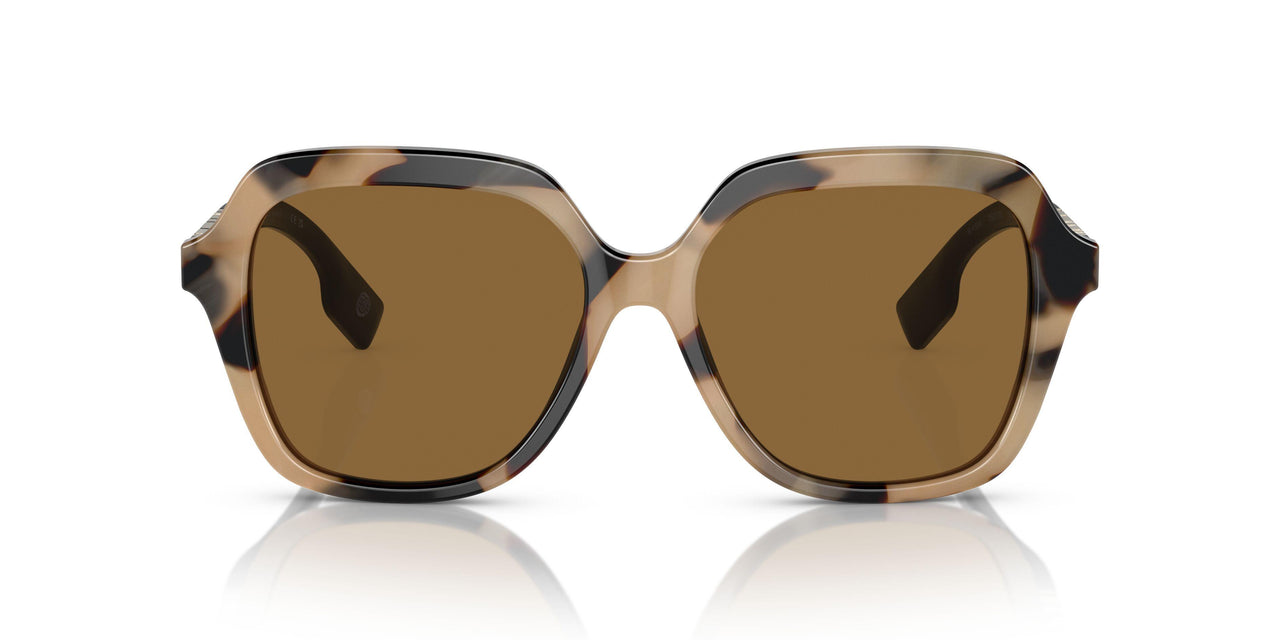 350173 - Brown - Bronze