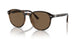 597473 - Tortoise - Brown