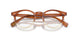 1785 - Brown