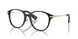 3002 - Brown