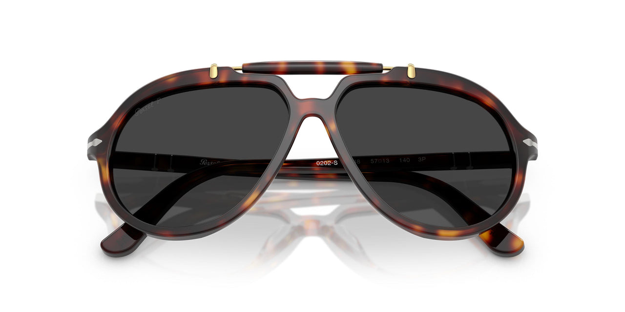 24/48 - Tortoise - Polar Black