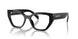 16K1O1 - Black