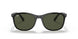 601/31 - Black - Green