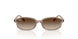 720013 - Brown - Gradient Brown