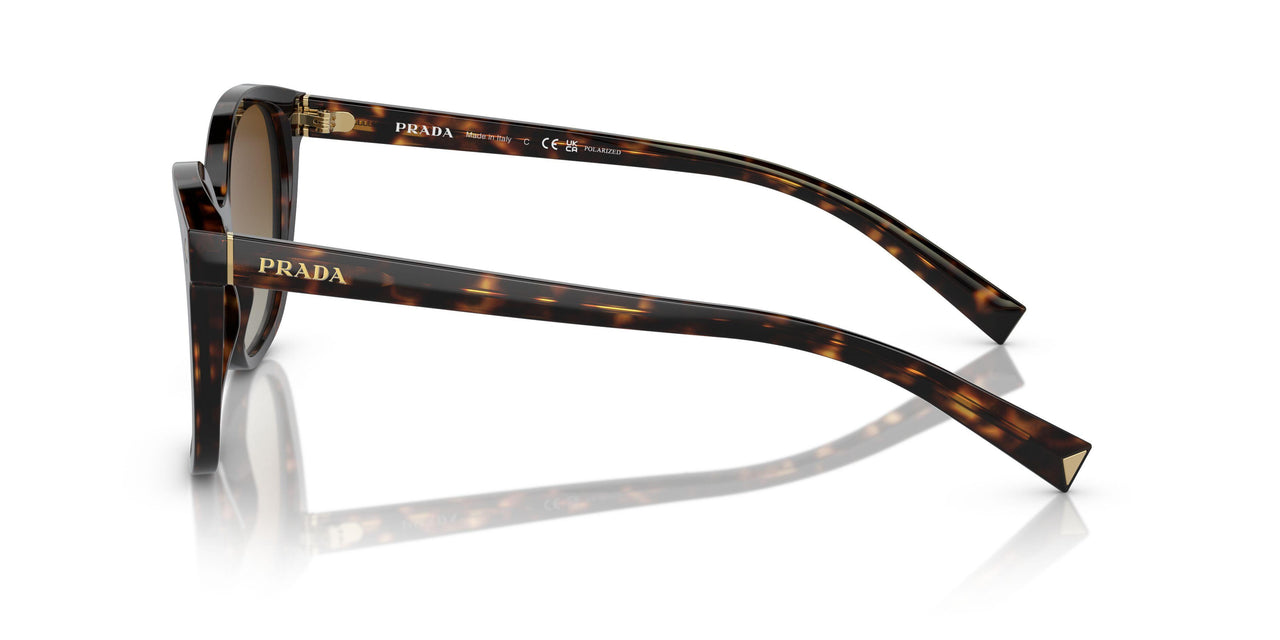 2AU6E1 - Tortoise - Polar Brown Gradient