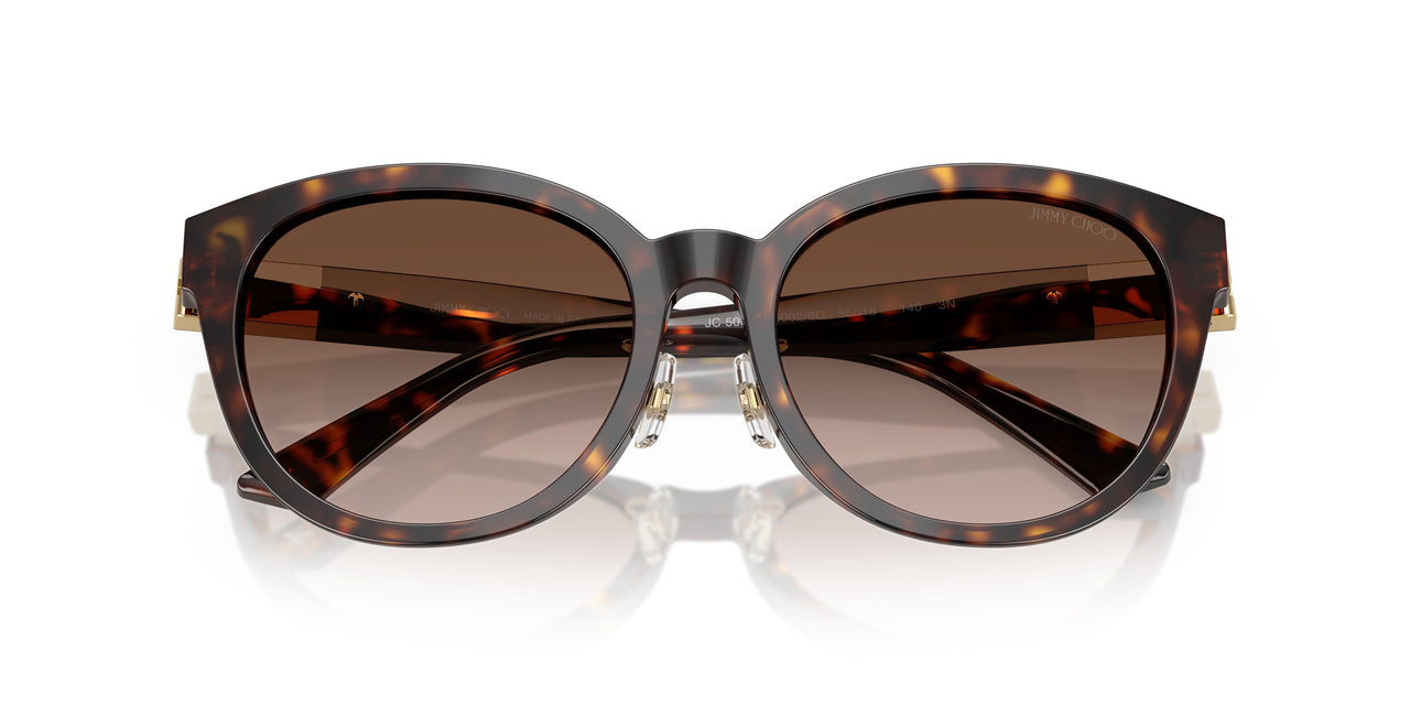50028G - Tortoise - Gradient Brown
