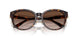 50028G - Tortoise - Gradient Brown