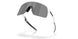 949613 - White - Prizm Black