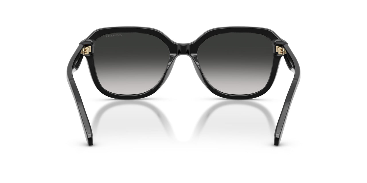 50023C - Black - Grey Gradient