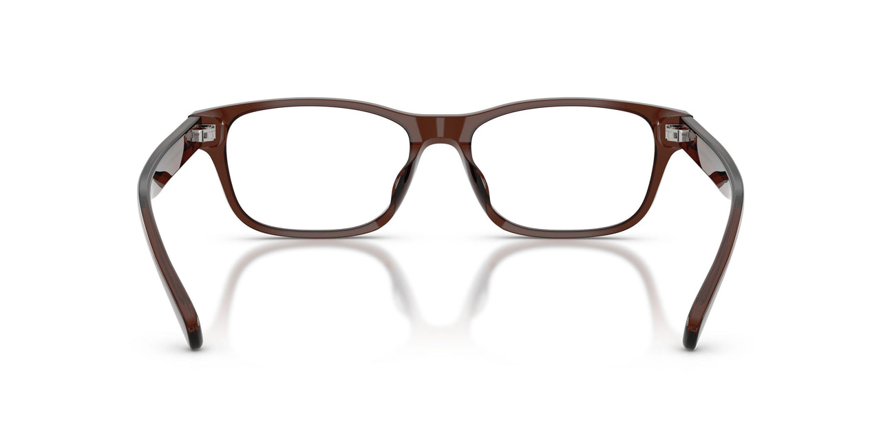 6282 - Brown