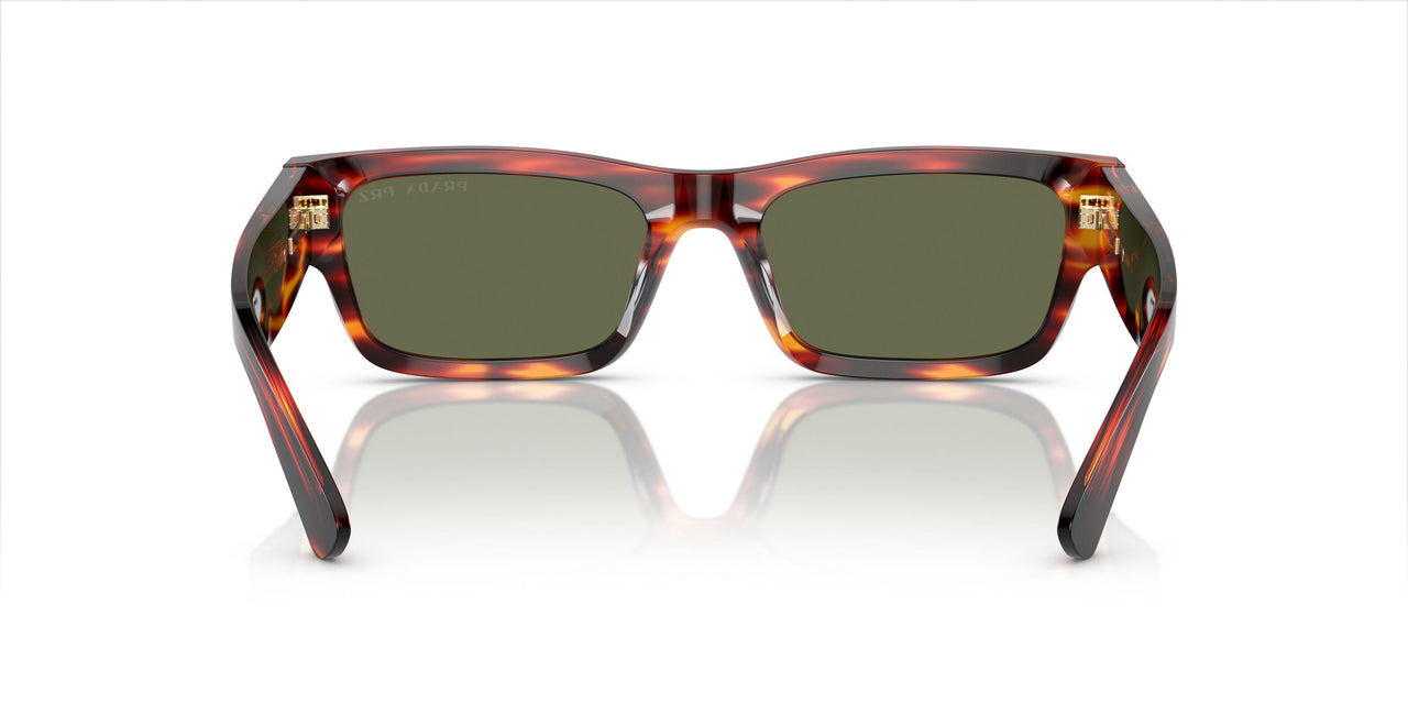13O03R - Brown - Green Polar