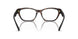 5026 - Tortoise