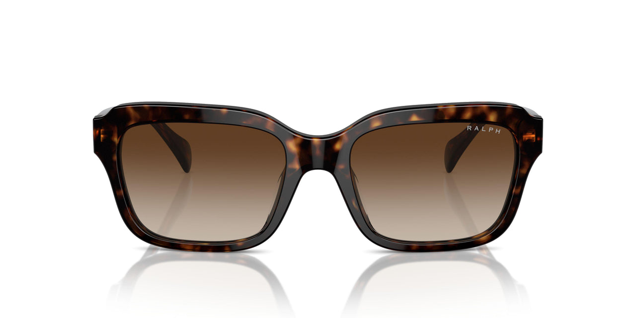 500313 - Brown - Gradient Brown