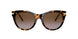 333313 - Havana - Brown Gradient