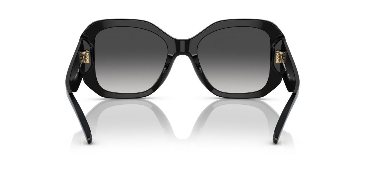 17098G - Black - Grey Gradient