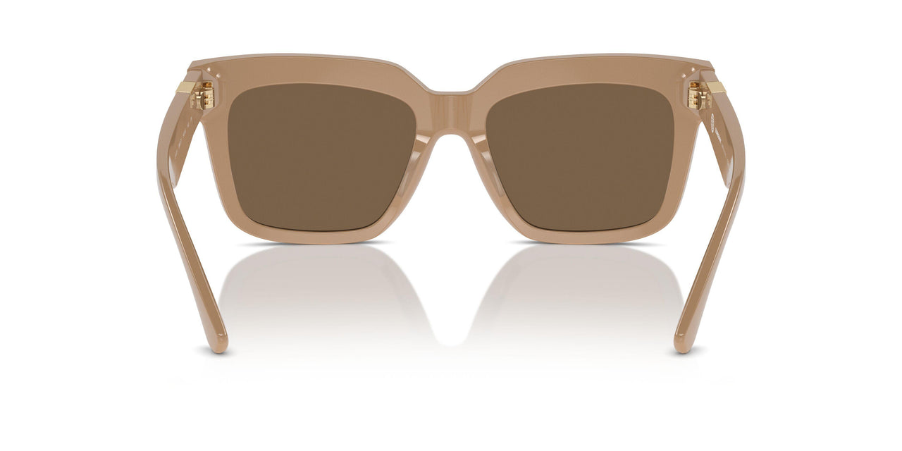 399073 - Beige - Dark Brown