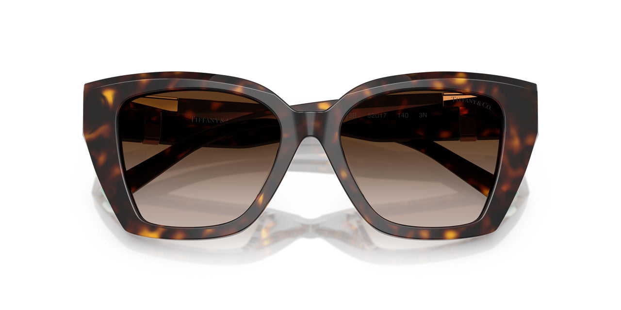 80153B - Tortoise - Brown Gradient