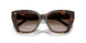 80153B - Tortoise - Brown Gradient