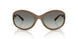 317511 - Brown - Gradient Grey