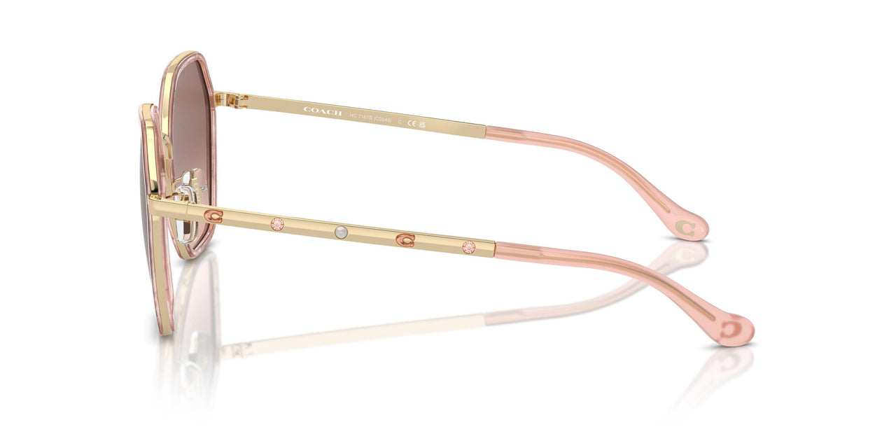 944413 - Brown Pink Gradient