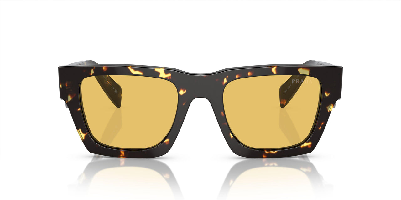16O10C - Brown - Yellow