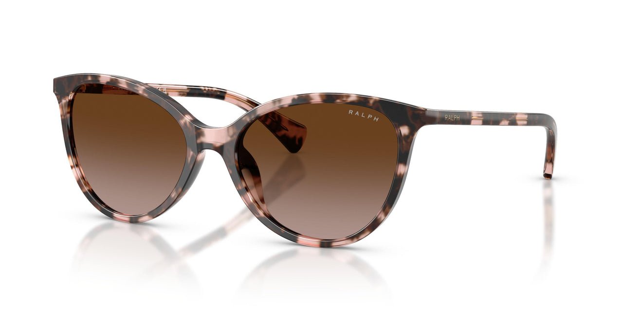 605813 - Tortoise - Gradient Brown
