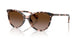 605813 - Tortoise - Gradient Brown