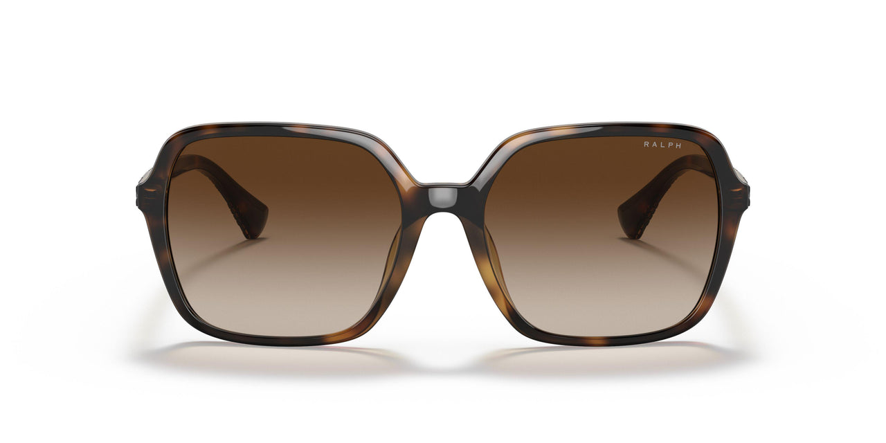 500313 - Havana - Gradient Brown
