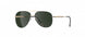7530 - Gold Black - SLM POL Green