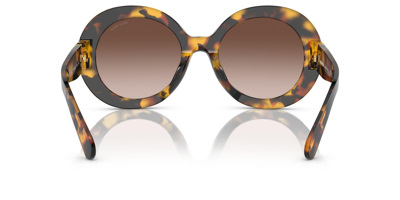 VAU6S1 - Tortoise - Brown Gradient