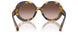 VAU6S1 - Tortoise - Brown Gradient