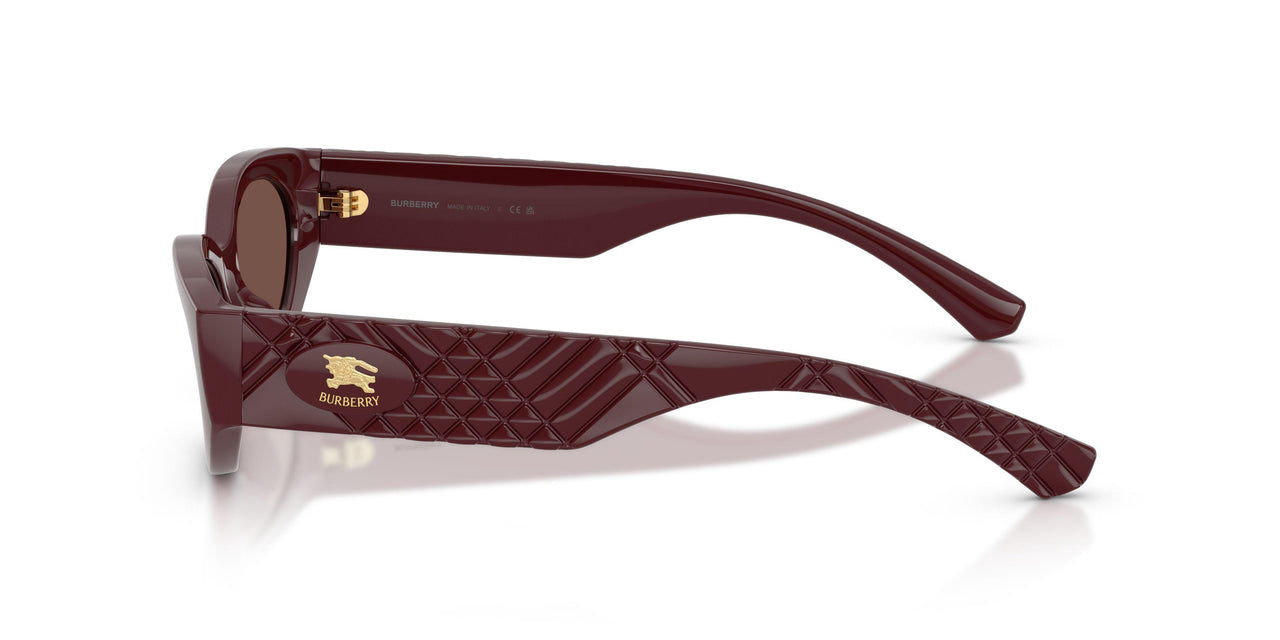 425973 - Red - Black Chocolate