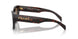 16N5Y1 - Brown - Dark Brown Polar