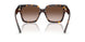 500213 - Tortoise - Gradient Brown