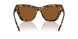 300673 - Tortoise - Amber Solid