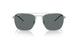 925181 - Silver - Dark Grey Polar